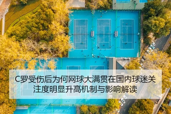 luo-shou-shang-hou-wei-he-wang-qiu-da-man-guan-zai-guo-nei-qiu-mi-guan-zhu-du-ming-xian-sheng-gao-ji-zhi-yu-ying-xiang-2-251.jpg
