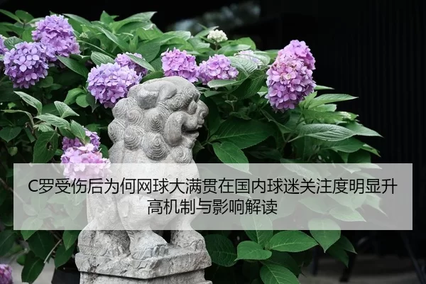 C罗受伤后为何网球大满贯在国内球迷关注度明显升高机制与影响解读